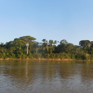 Rio Manuripi