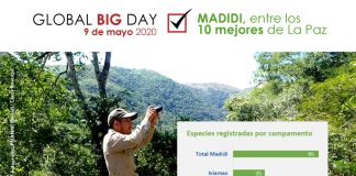Madidi puesto 9 en el Global Big Day de La Paz