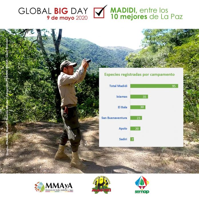 Madidi puesto 9 en el Global Big Day de La Paz