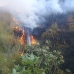 Sofocación exitosa de incendio en el Parque Nacional Carrasco – 1