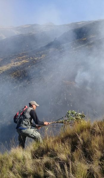 Sofocación exitosa de incendio en el Parque Nacional Carrasco