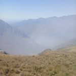 Sofocación exitosa de incendio en el Parque Nacional Carrasco – 4