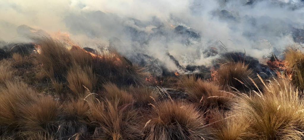 Incendio en el Parque Nacional y Natural de Manejo Integrado Cotapata
