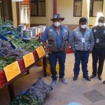 El Palmar se solidariza dotando plantas medicinales para enfermos de COVID-19 en Presto-1