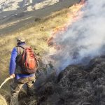 SERNAP logró sofocar incendio en el Parque Nacional Carrasco-1