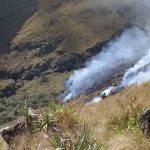 SERNAP logró sofocar incendio en el Parque Nacional Carrasco-3