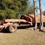 SERNAP secuestró gran cantidad de madera nativa del Parque Nacional Otuquis durante un operativo-3
