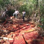 SERNAP secuestró gran cantidad de madera nativa del Parque Nacional Otuquis durante un operativo-4
