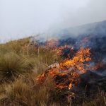 SERNAP sofocó incendio en el Parque Nacional Carrasco-1