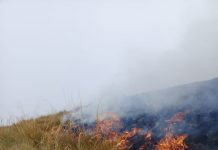 Incendio en el Parque Nacional Carrasco