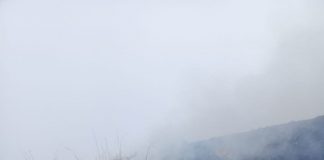 Incendio en el Parque Nacional Carrasco