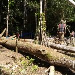 El Parque Nacional Madidi apoya la promulgación de Ley en beneficio a las áreas protegidas municipales de Ixiamas-1