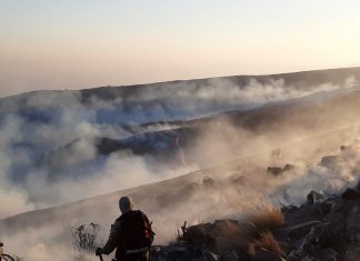 Guardaparques sofocando incendios en Tunari