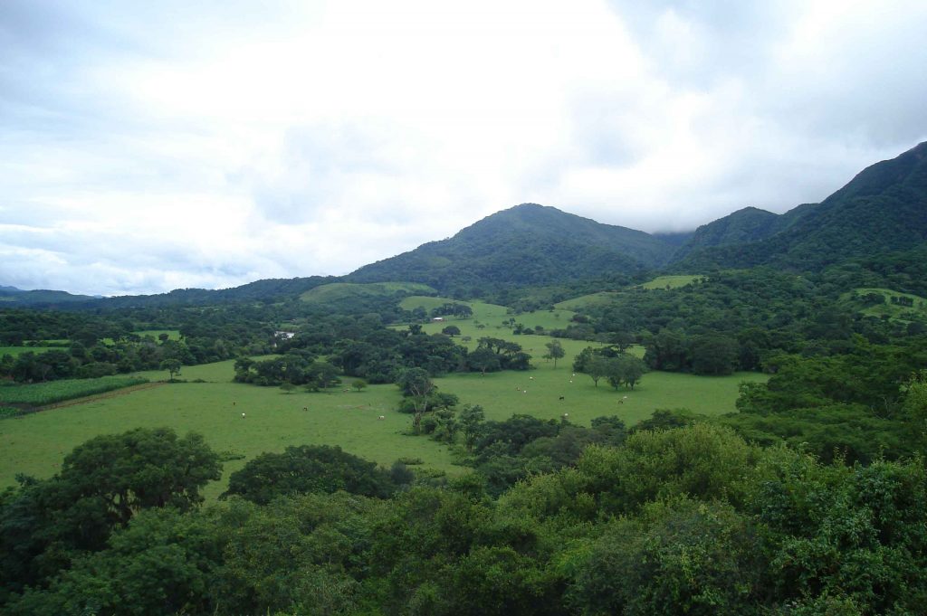 Pampa de Tariquía