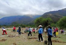Forestación en la Cordillera de Sama