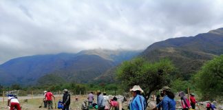 Forestación en la Cordillera de Sama