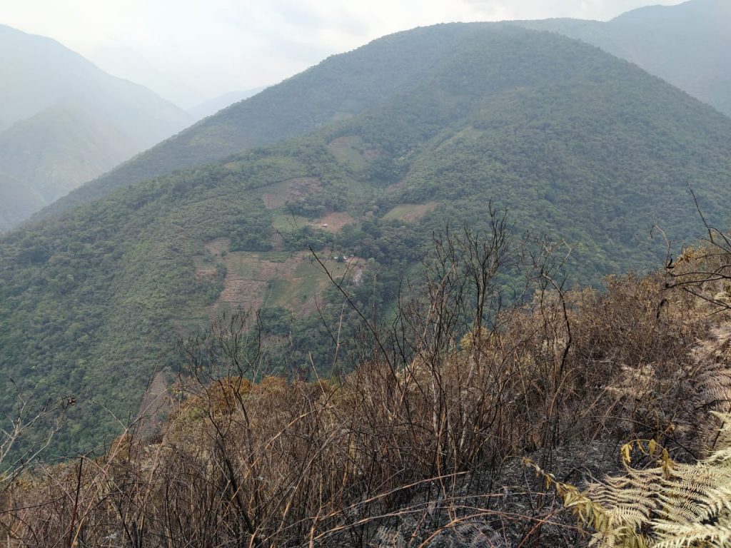 Incendio en el Parque Nacional y Área Natural de Manejo Integrado Cotapata