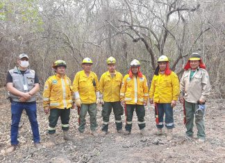Incendio en el Parque Nacional ANMI Kaa Iya del Gran Chaco