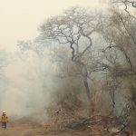 Controlan incendio forestal en el Parque Nacional Kaa- Iya-1