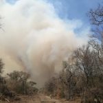 Controlan incendio forestal en el Parque Nacional Kaa- Iya-2