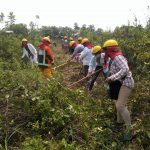 Guardaparques del Madidi continúan capacitando a bomberos forestales-3