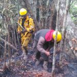 Guardaparques en trabajo conjunto lograron mitigar incendio en Pilón Lajas-3