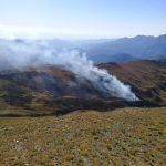 Incendio en el Parque Nacional Carrasco