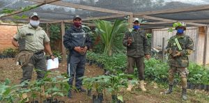 Entrega de plantines en Apolo