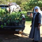 Recepción de plantines en Apolo en conmemoración al Día de la Biodiversidad