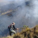 Sofocación exitosa de incendio en el Parque Nacional Carrasco