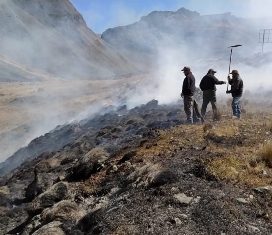 Guardaparques apagando el incendio de Cotapata