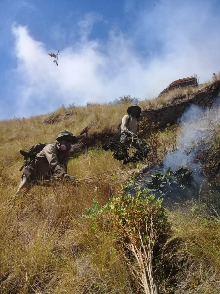 Guardaparques sofocando incendio