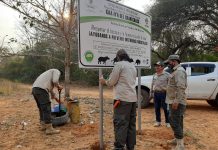 Instalación de señalética en Kaa Iya