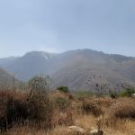 Los incendios en el Parque Nacional Tunari fueron controlados