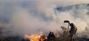 Guardaparques sofocando incendios