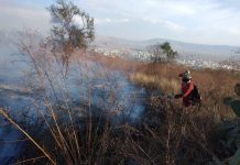 Guardaparques sofocando incendios