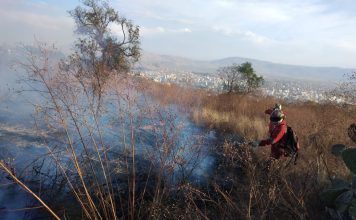 Guardaparques sofocando incendios