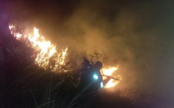 Incendios en Tunari