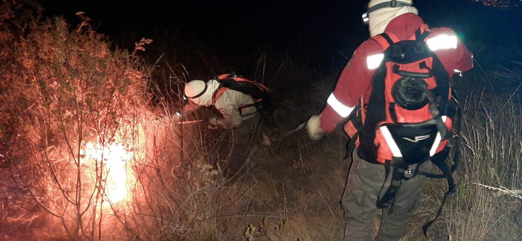 Guardaparques sofocando incendios