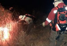 Guardaparques sofocando incendios