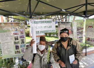 Educación ambiental en Carrasco