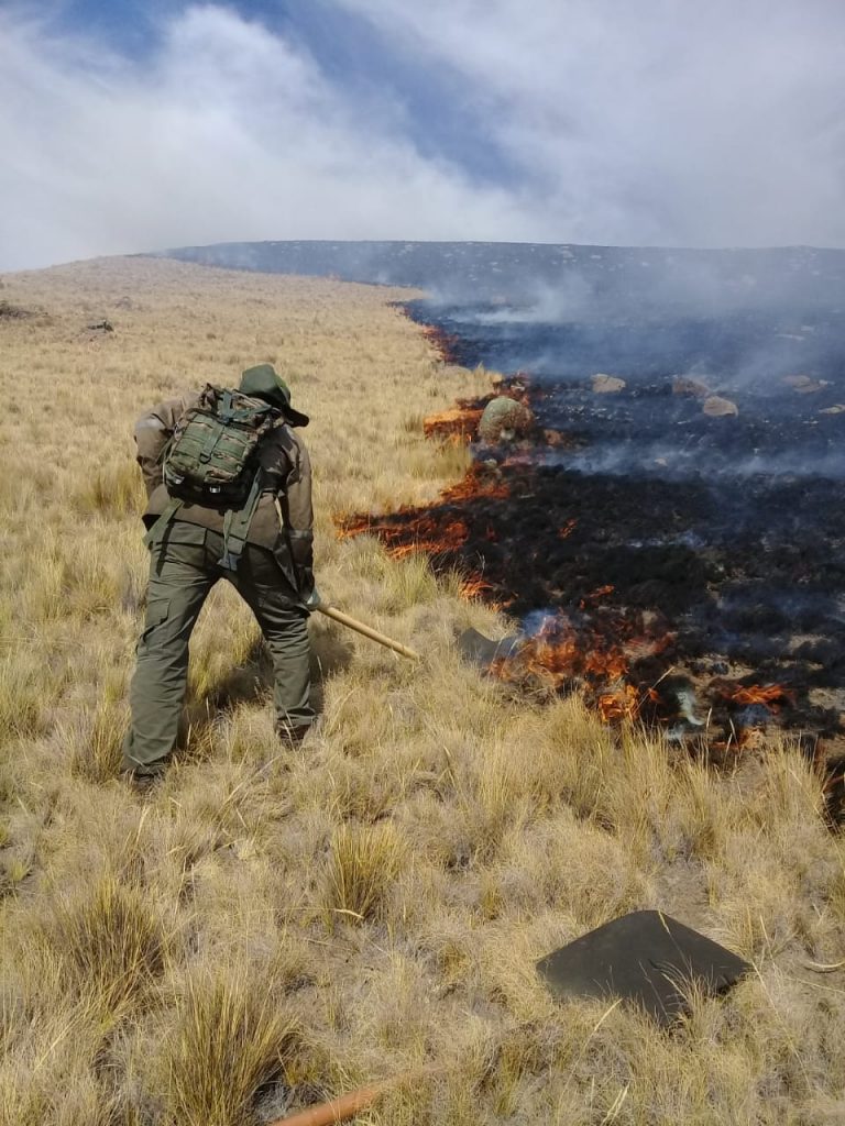 Incendio Carrasco