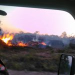 Guardaparques del Madidi combatieron un incendio forestal en Tumupasa-1